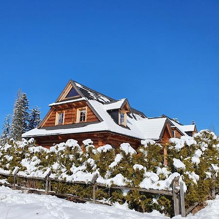 Nydala Rustic Villa Kościelisko Buitenkant foto